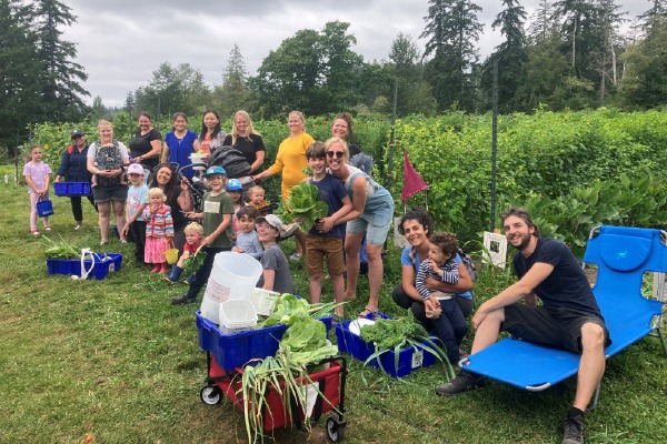 Office and company documents in the UK